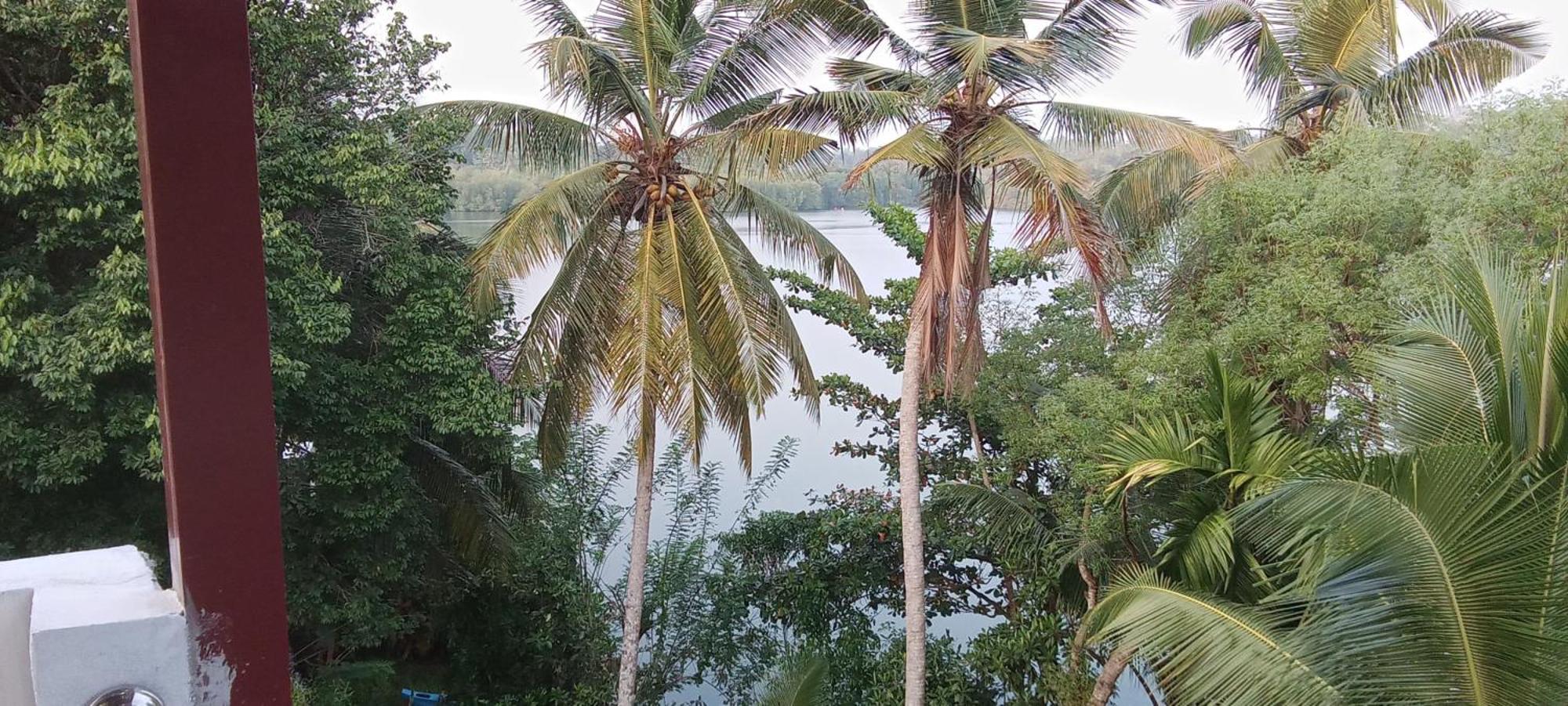 The Green Lagoon Villa Hikkaduwa Exterior photo